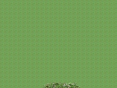 2D花草 花坛花草