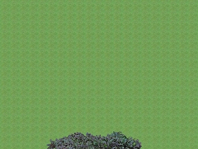 2D花草 花坛花草