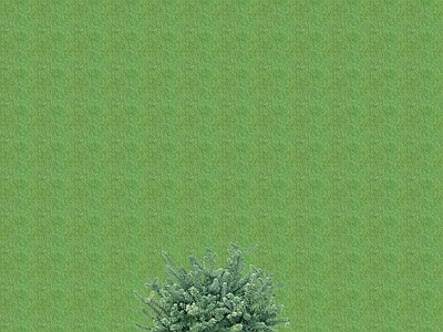 2D花草 花坛花草