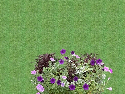 2D花草 花坛花草