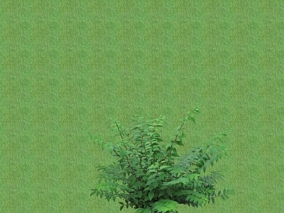 2D花草 花坛花草