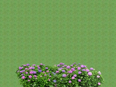 2D花草 花坛花草