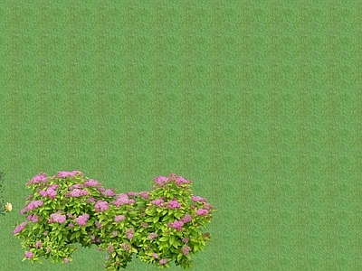 2D花草 花坛花草