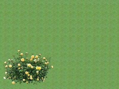 2D花草 花坛花草