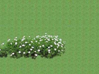 2D花草 花坛花草