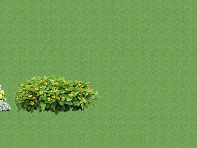 2D花草 花坛花草
