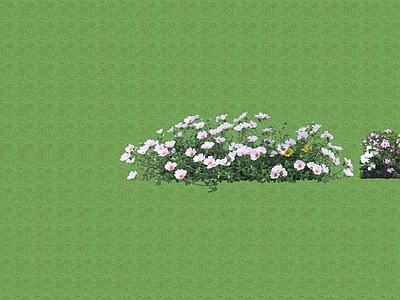 2D花草 花坛花草
