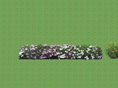 2D花草 花坛花草