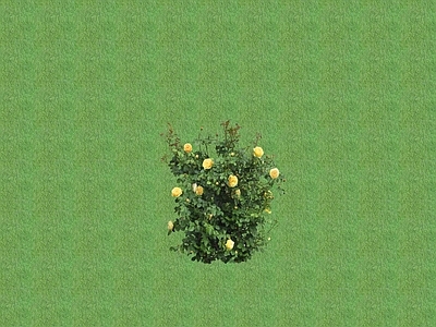 2D花草 花盆花钵