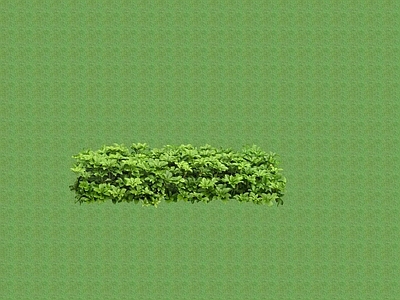 2D花草 花坛花草