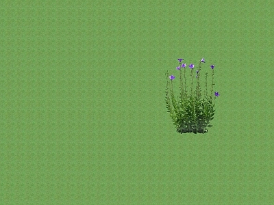 2D花草 花坛花草