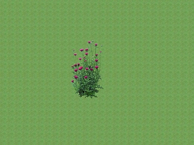 2D花草 花坛花草