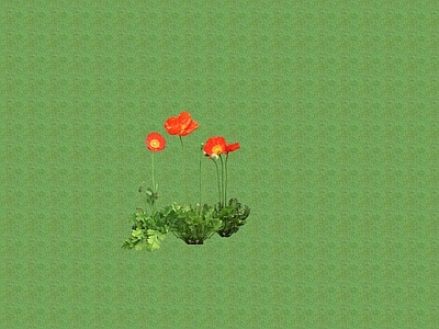 2D花草 花坛花草