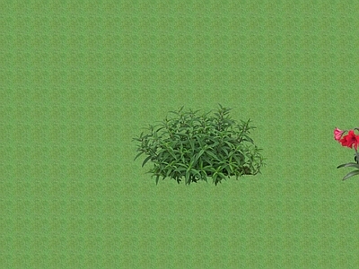 2D花草 花坛花草