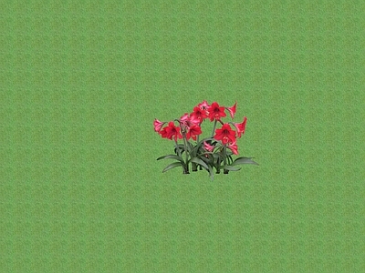2D花草 花坛花草