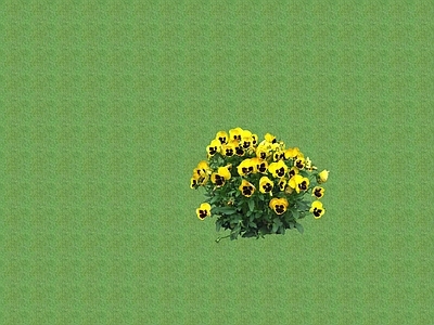 2D花草 花坛花草
