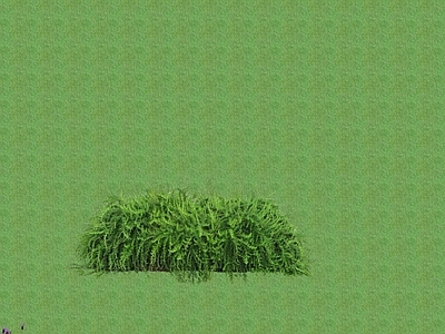 2D花草 花坛花草