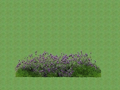 2D花草 花坛花草