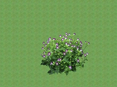 2D花草 花坛花草