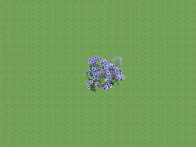 2D花草 花坛花草