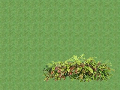 2D花草 花坛花草