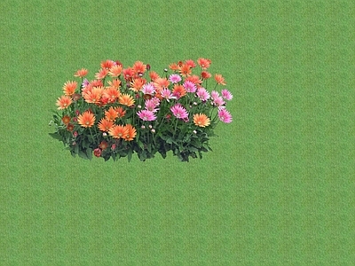 2D花草 花坛花草