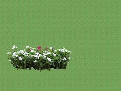 2D花草 花坛花草