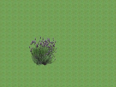 2D花草 花坛花草