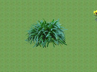 2D花草 花坛花草