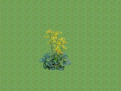 2D花草 花坛花草