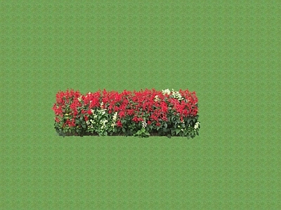 2D花草 花坛花草