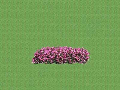 2D花草 花坛花草