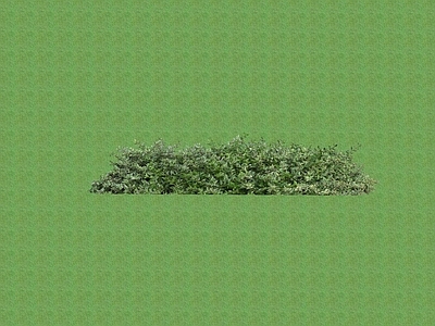 2D花草 花坛花草