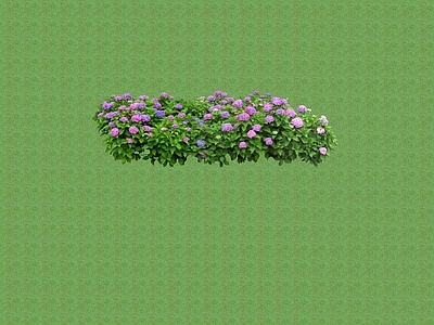 2D花草 花坛花草