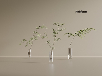 其他绿植 水生植物