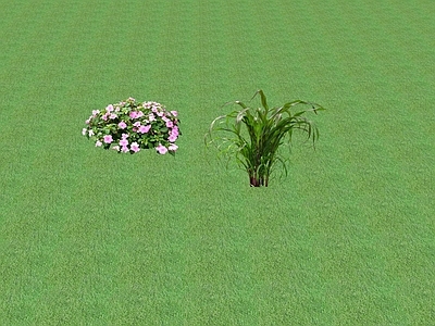 2D花草 花坛花草