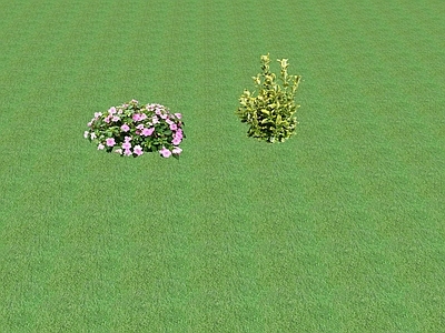 2D花草 花坛花草