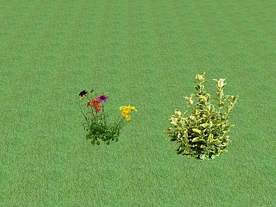 2D花草 花坛花草