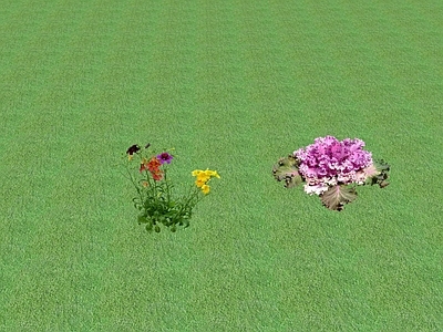 2D花草 花坛花草