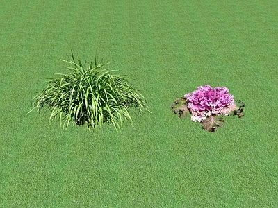 2D花草 花坛花草