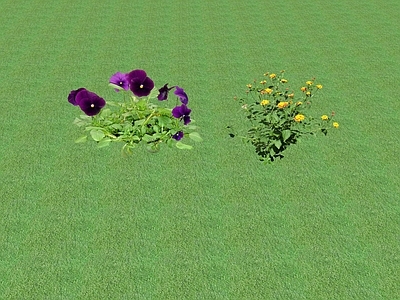 2D花草 花坛花草