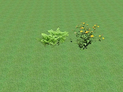 2D花草 花坛花草