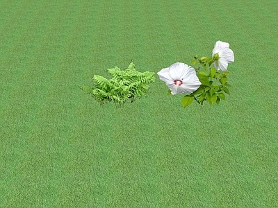 2D花草 花坛花草