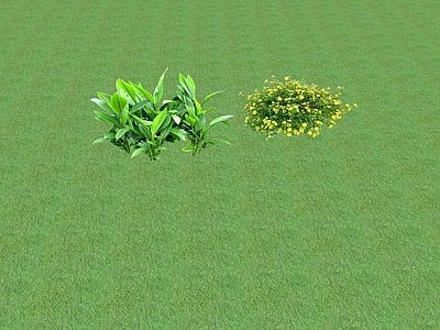 2D花草 花坛花草