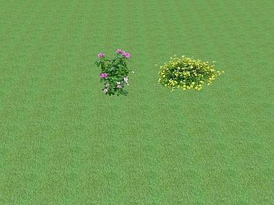 2D花草 花坛花草