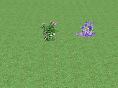 2D花草 花坛花草