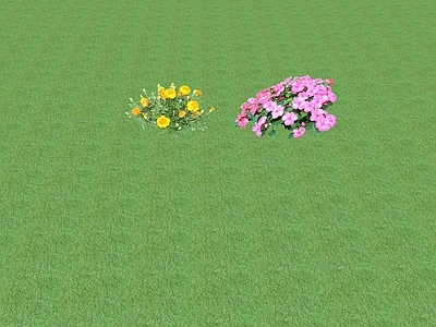 2D花草 花坛花草
