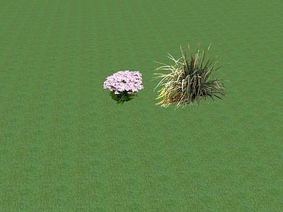 2D花草 花坛花草