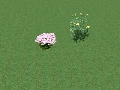 2D花草 花坛花草