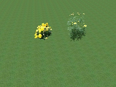 2D花草 花坛花草